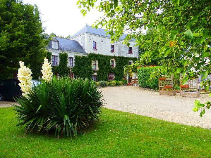 Saint-Mélaine-sur-Aubance高堡磨坊旅馆住宿加早餐旅馆 外观 照片